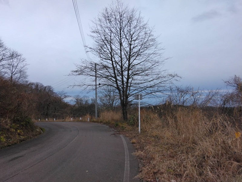 大型施設の敷地内